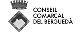 logo_consell