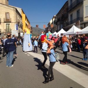 Sol·licitud Fira Sant Martí 2017