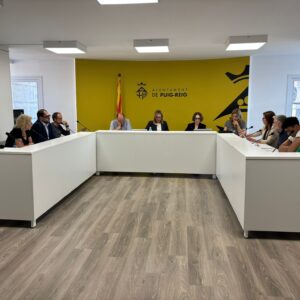 WhatsApp Image 2025-05-29 at 21.16.40 Resum del ple ordinari de maig