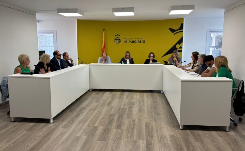Resum del ple ordinari de maig
