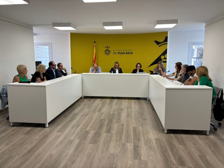 Resum del ple ordinari de maig