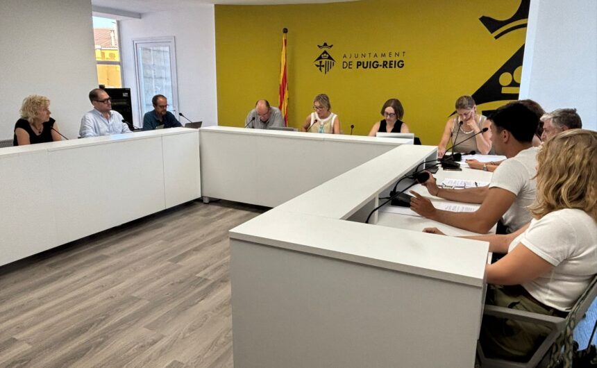 Resum del ple de juny