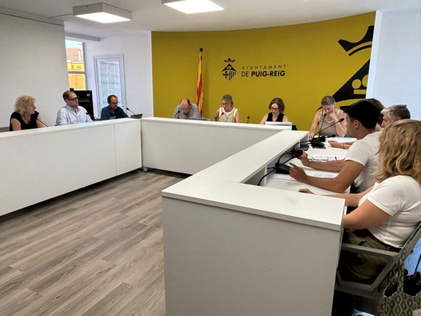 Resum del ple de juny