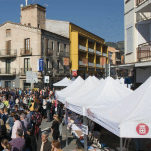 FIRA DE SANT MARTÍ 2025 Puig-reig obre el període d’inscripcions per a participar a la Fira de Sant Martí 2025