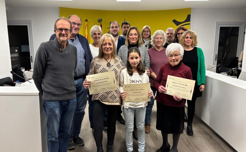 Resum del ple de novembre