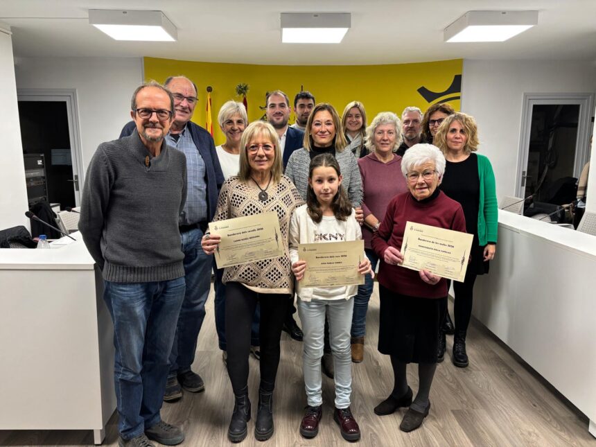 Resum del ple de novembre