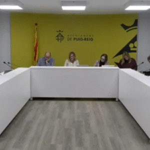 Captura de pantalla 2025-12-28 094213 Resum del ple ordinari de desembre