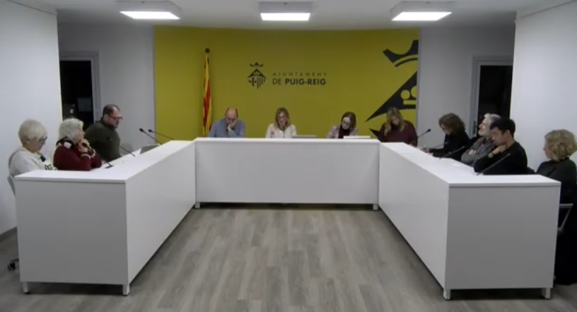 Resum del ple ordinari de desembre