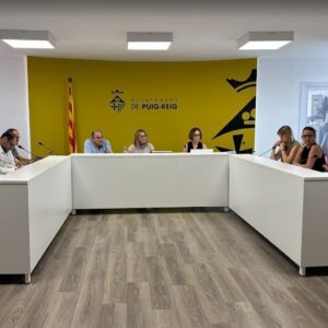 Resum del ple ordinari de juny