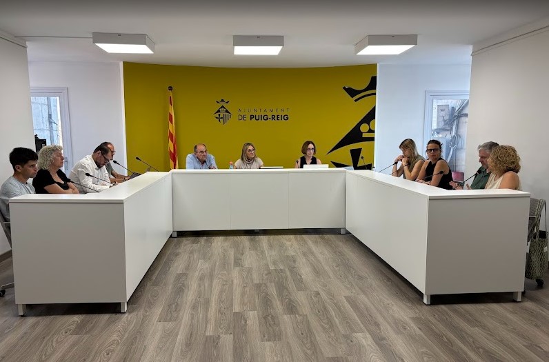 Resum del ple ordinari de juny