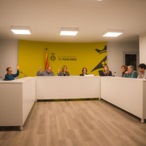 (C)Manel Iglesias Resum del ple ordinari de març