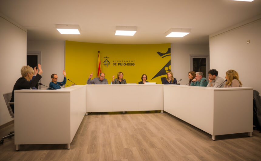 Resum del ple ordinari de març