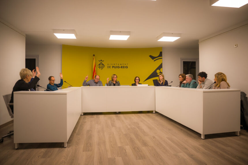 (C)Manel Iglesias Resum del ple ordinari de març