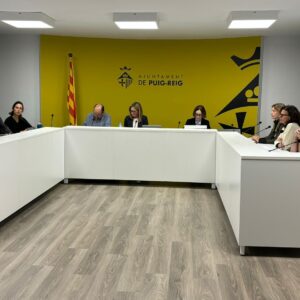 Resum del ple ordinari municipal de novembre