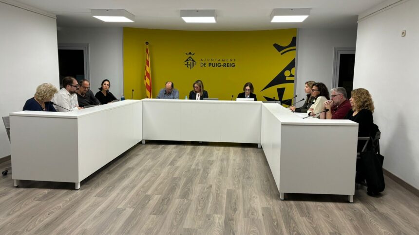 Resum del ple ordinari municipal de novembre