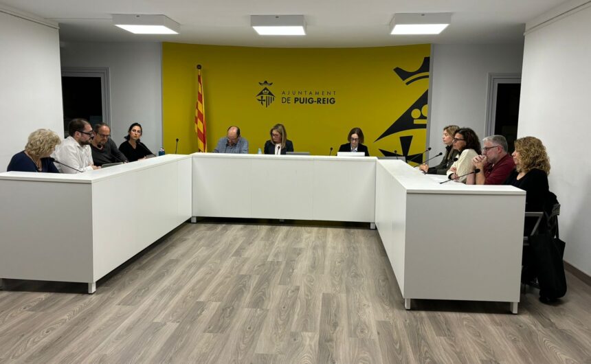 Resum del ple ordinari municipal de novembre