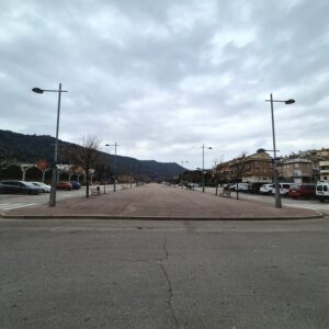 L’Ajuntament impulsa la recuperació dels arbres de l’Avinguda 1 d’Octubre