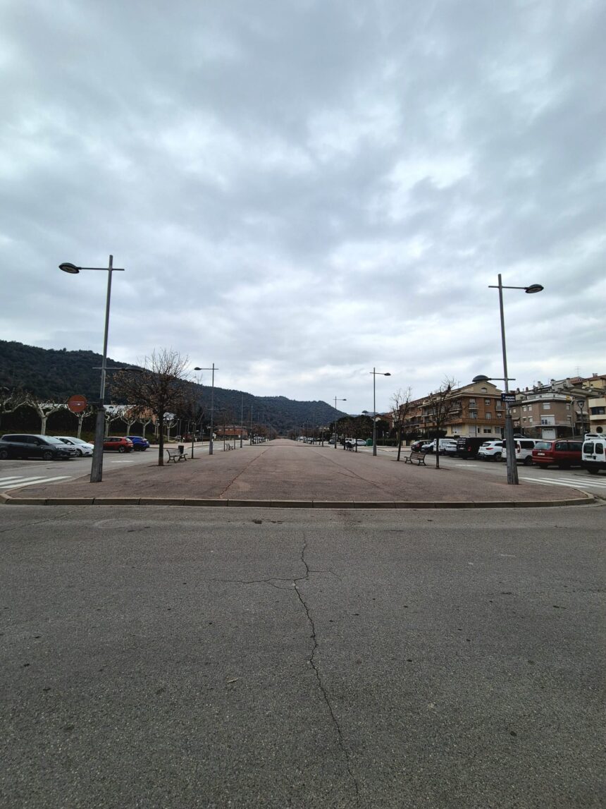 L’Ajuntament impulsa la recuperació dels arbres de l’Avinguda 1 d’Octubre