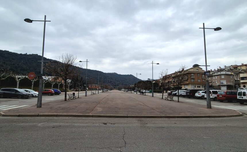 L’Ajuntament impulsa la recuperació dels arbres de l’Avinguda 1 d’Octubre