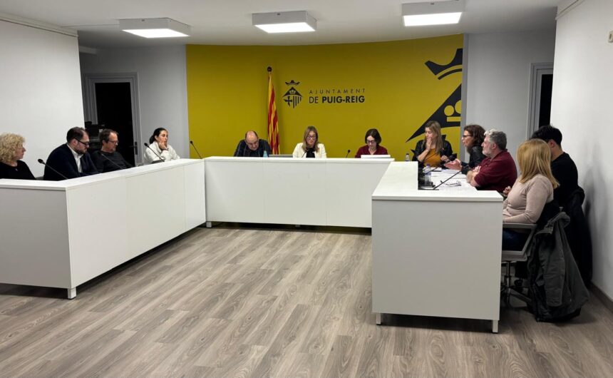 Resum del ple ordinari del mes de febrer