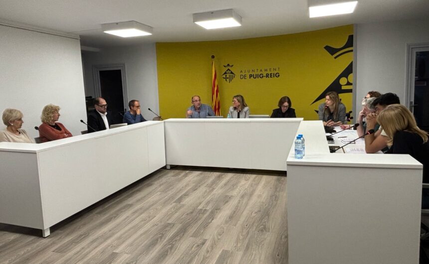 Resum del ple ordinari d’abril