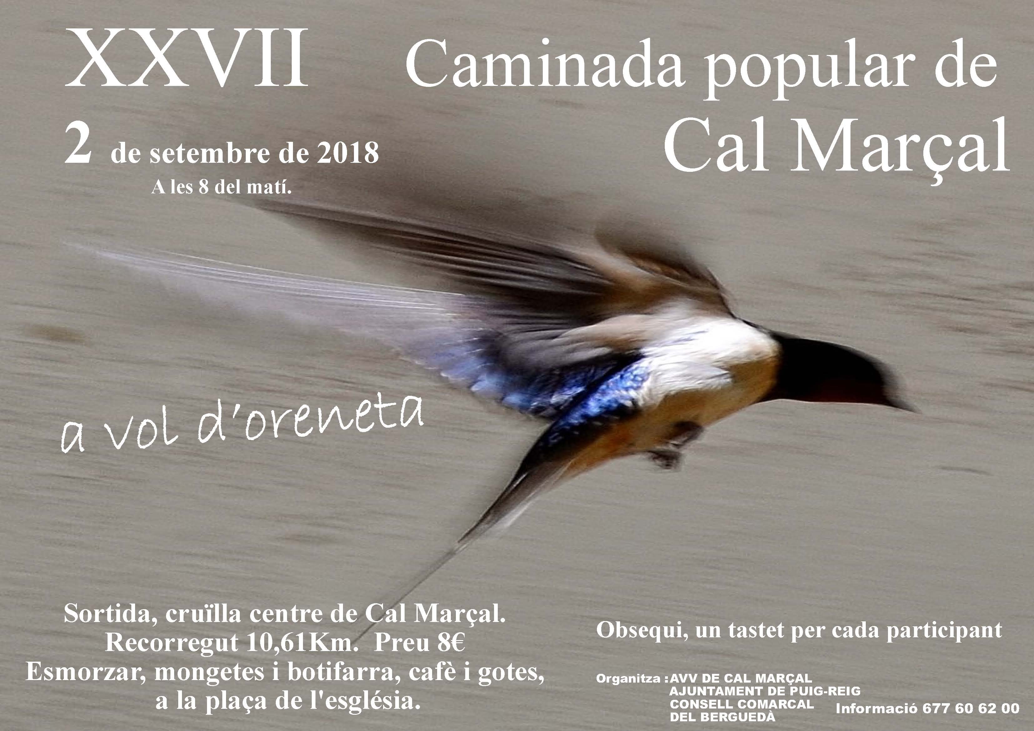 XXVII Caminada popular de Cal Marçal 2018 com vol d’oreneta Cartell_1 (2)