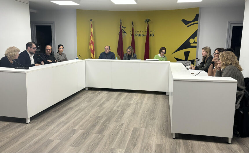 Resum del ple municipal de desembre